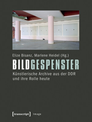 cover image of Bildgespenster